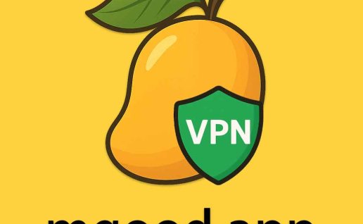 芒果浏览器 - 内置vpn